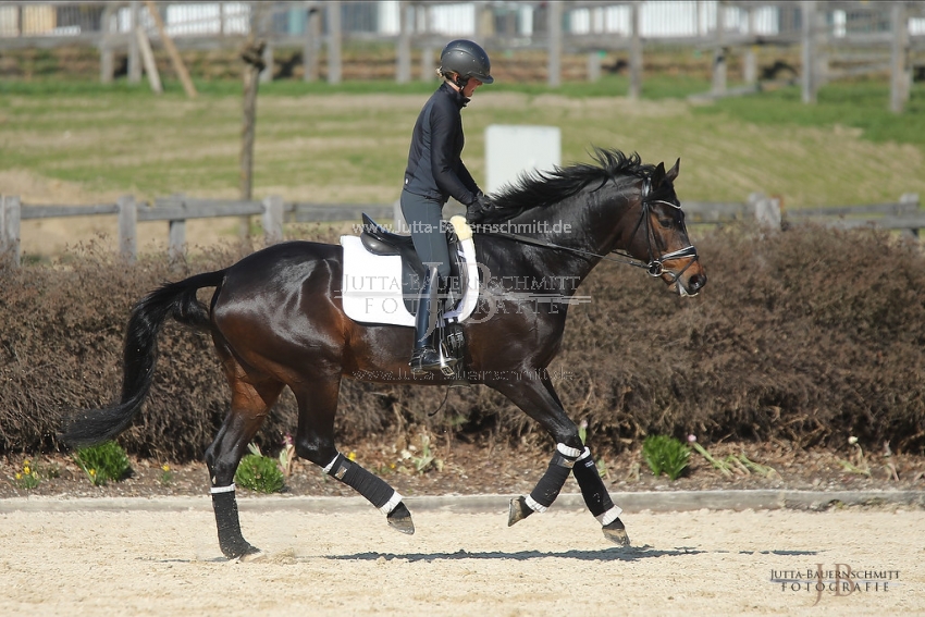 Preview 19-PDAubenhausen-FreiherrvonStein_JB_04895.jpg