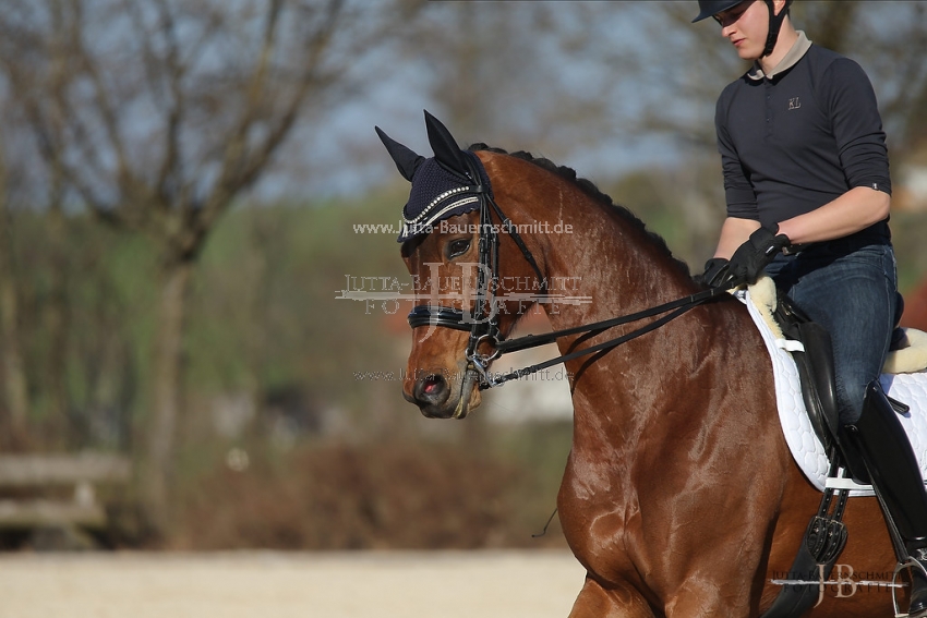 Preview 19-PDAubenhausen-GraefinAnnabel_JB_04529.jpg