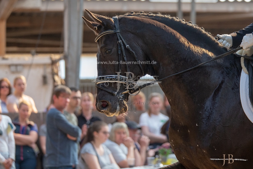 Preview 19-HSB-SantoDomingoII_JB_06985.jpg