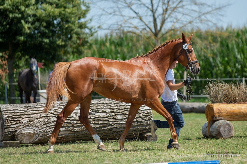 Preview 19-ZStEBy-Laukischken_JB_06303.jpg