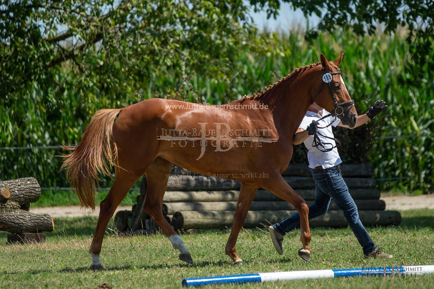 Preview 19-ZStEBy-Laukischken_JB_06305.jpg