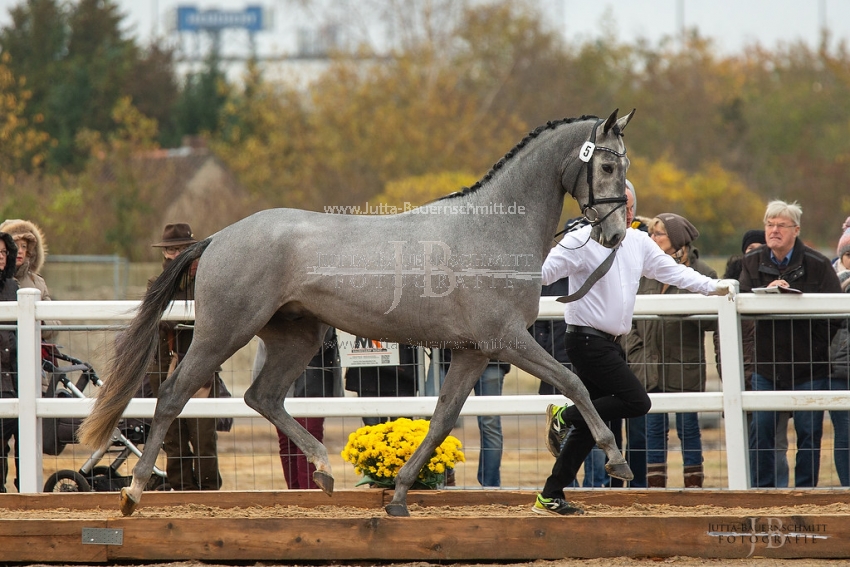 Preview 19-THM_GH-Blancor_JB_02244.jpg