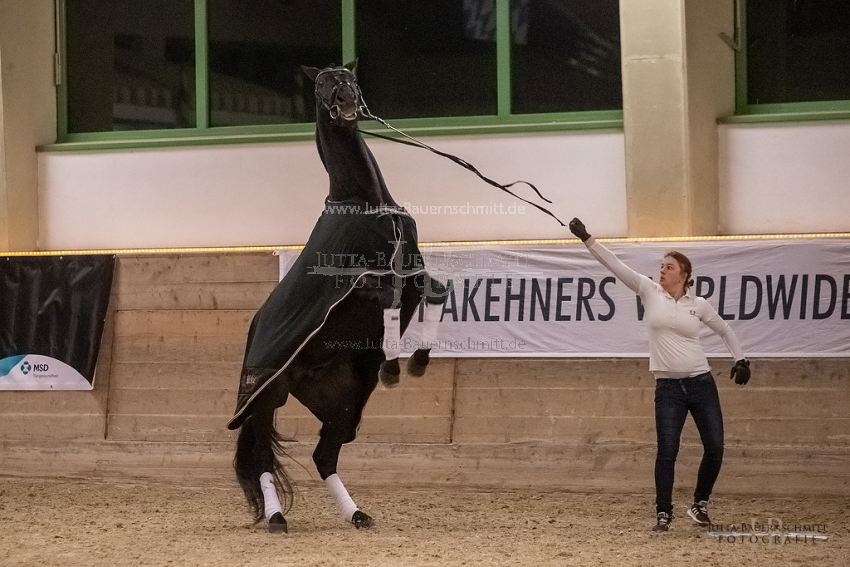 Preview 20-ByHS-Hibiskus_JB_03009.jpg