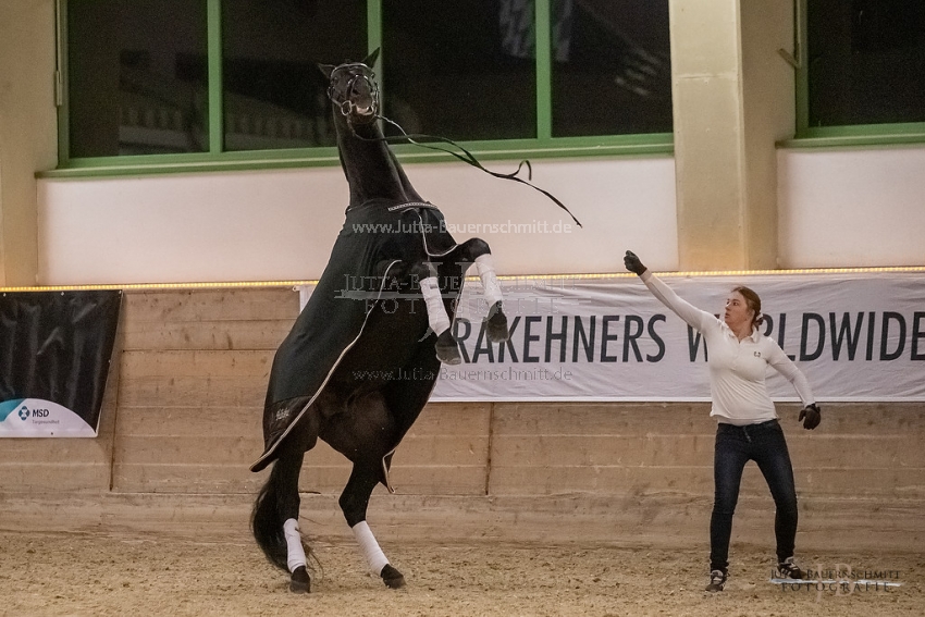 Preview 20-ByHS-Hibiskus_JB_03010.jpg