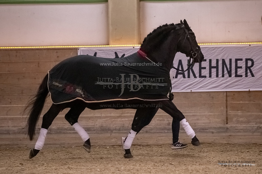 Preview 20-ByHS-Hibiskus_JB_03018.jpg