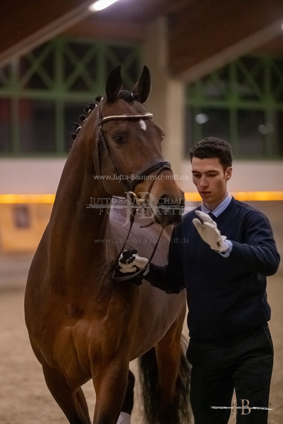 Preview 20-ByHS-Imperio_JB_03146.jpg