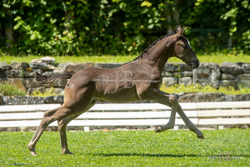 Preview 20-FBy-07_HerbstkrossantS_JB_08751.jpg