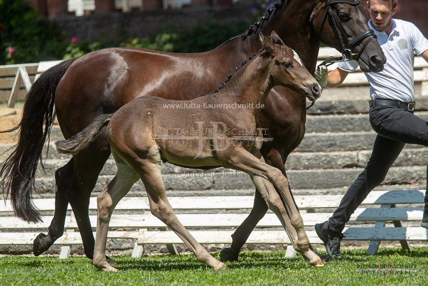 Preview 20-FBy-07_HerbstkrossantS_JB_08782.jpg