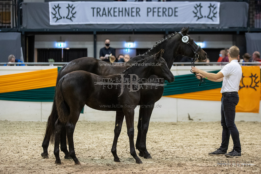 Preview 20-THM-F-Donauerbin_JB_17105.jpg