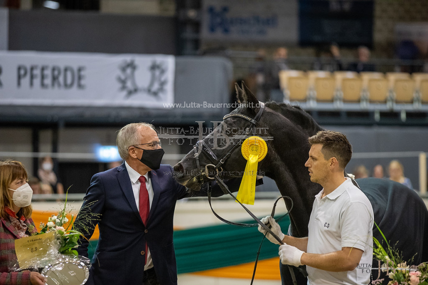 Preview 20-THM-E-Hibiskus_JB_19552.jpg