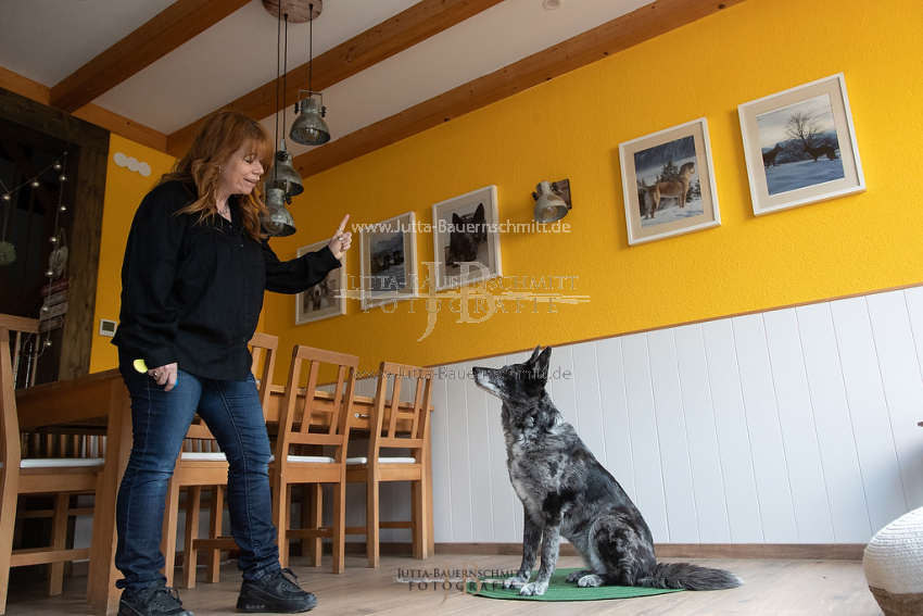 Preview 21-wedog-Indoor-Bodentarget_JB_35498.jpg