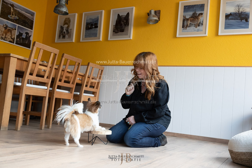 Preview 21-wedog-Indoor-Clickern_JB_35451.jpg