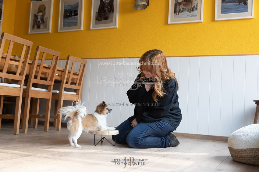 Preview 21-wedog-Indoor-Clickern_JB_35465.jpg