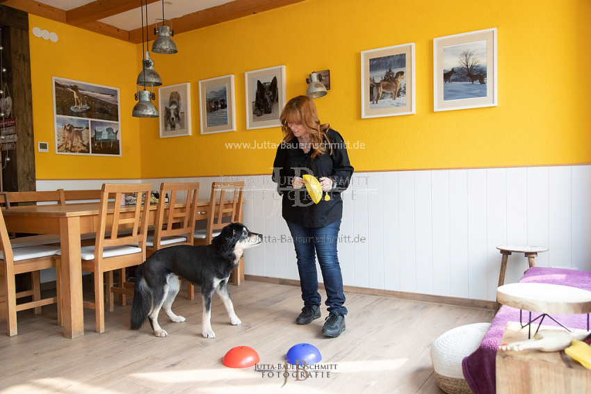 Preview 21-wedog-Indoor-Huetchen_JB_35412.jpg