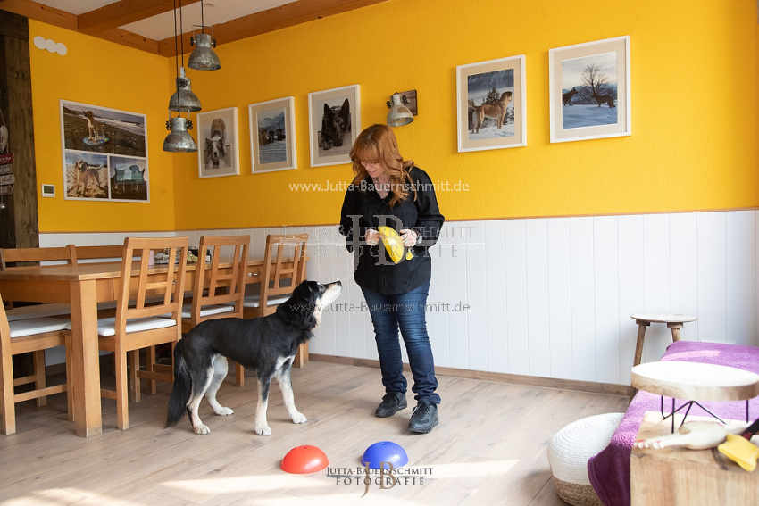 Preview 21-wedog-Indoor-Huetchen_JB_35414.jpg