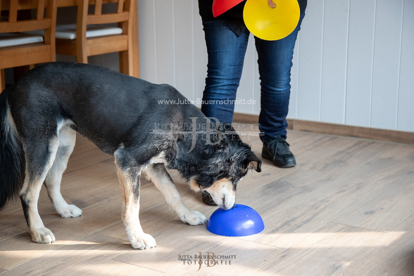 Preview 21-wedog-Indoor-Huetchen_JB_35418.jpg