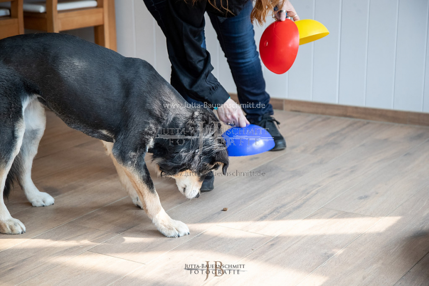 Preview 21-wedog-Indoor-Huetchen_JB_35420.jpg