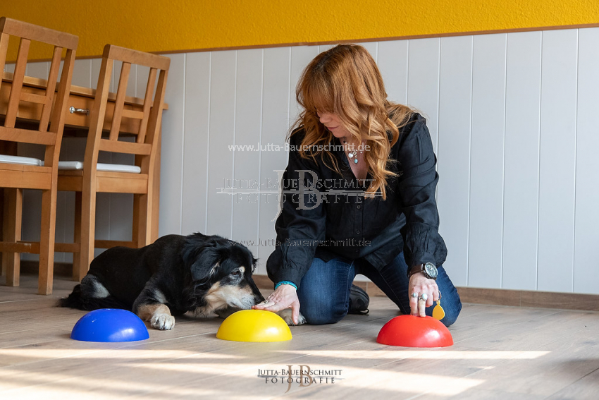 Preview 21-wedog-Indoor-Huetchen_JB_35422.jpg