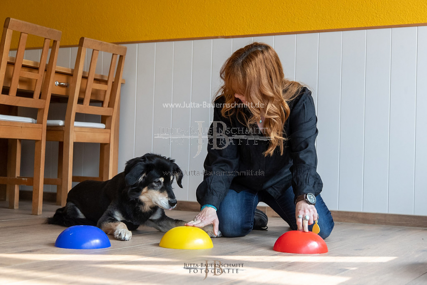 Preview 21-wedog-Indoor-Huetchen_JB_35424.jpg