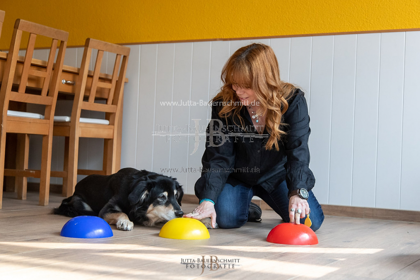 Preview 21-wedog-Indoor-Huetchen_JB_35426.jpg