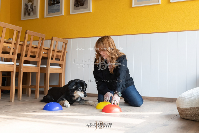 Preview 21-wedog-Indoor-Huetchen_JB_35432.jpg