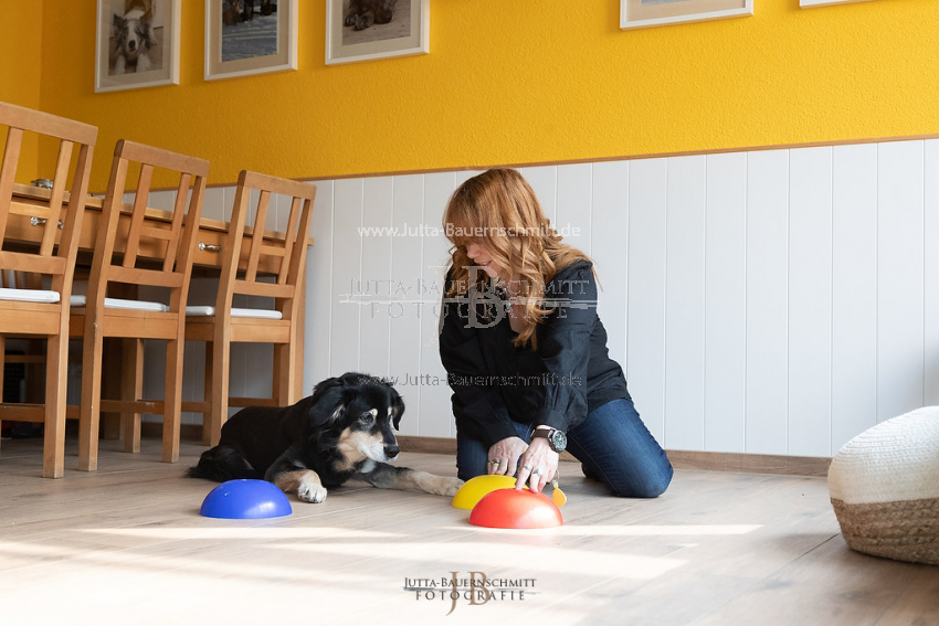 Preview 21-wedog-Indoor-Huetchen_JB_35433.jpg