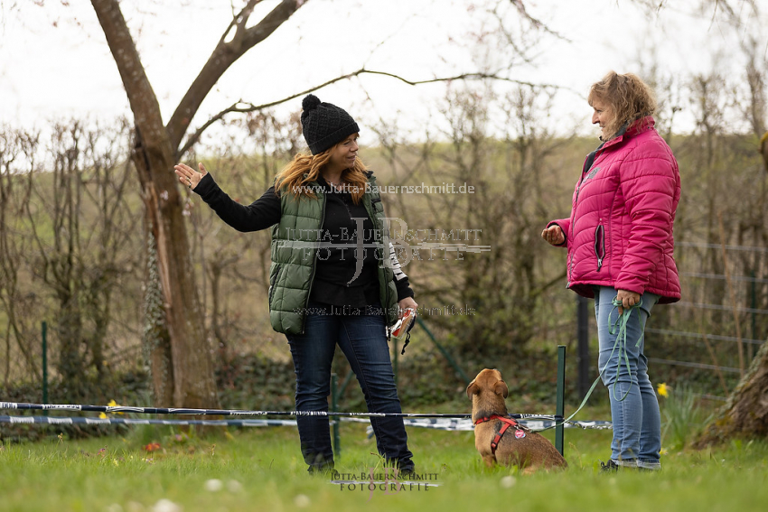 Preview 21-wedog-Longieren_1_JB_01834.jpg