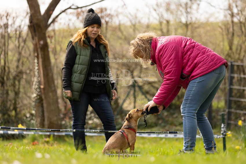 Preview 21-wedog-Longieren_1_JB_01867.jpg