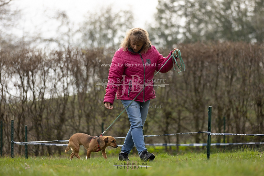 Preview 21-wedog-Longieren_1_JB_01909.jpg