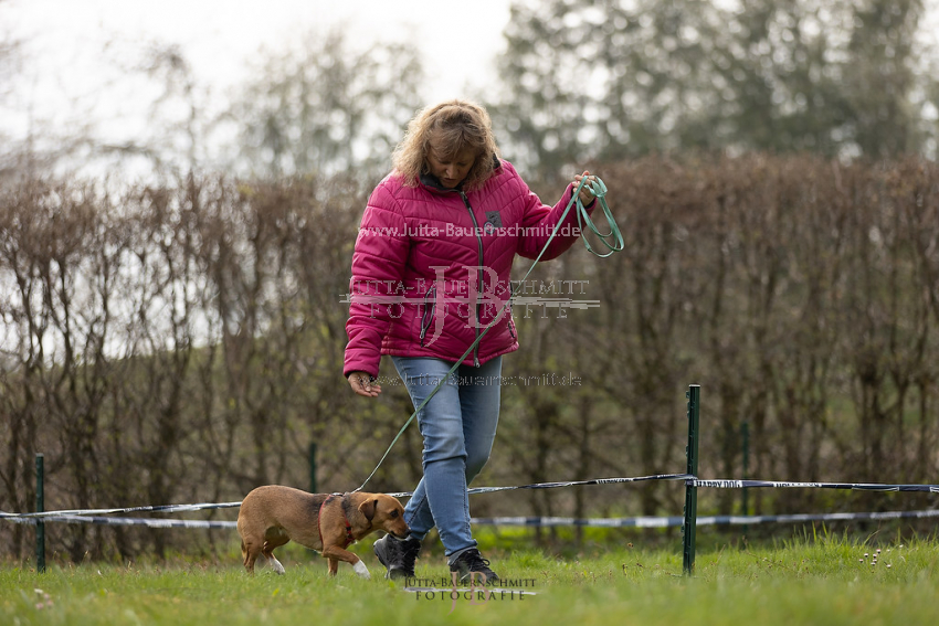 Preview 21-wedog-Longieren_1_JB_01910.jpg