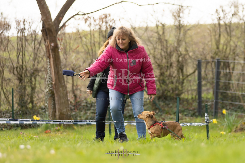 Preview 21-wedog-Longieren_1_JB_01920.jpg