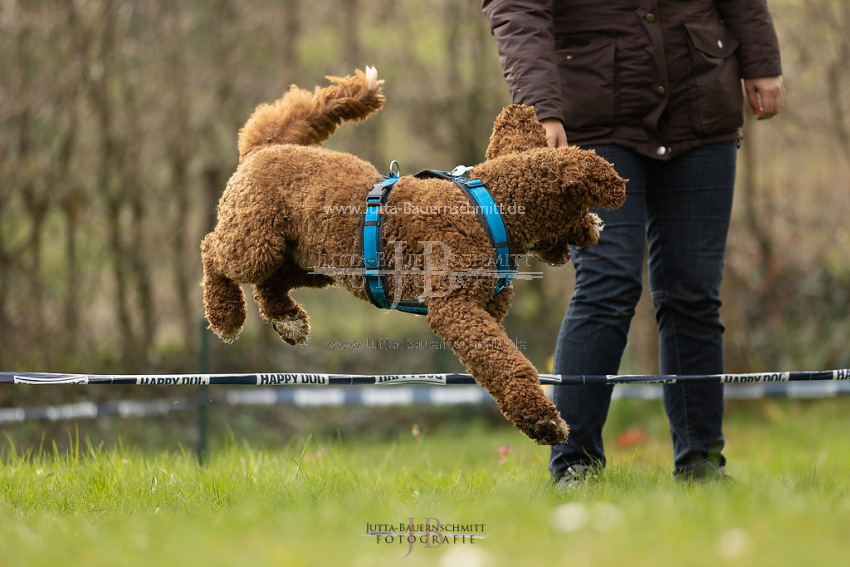 Preview 21-wedog-Longieren_2_JB_01959.jpg