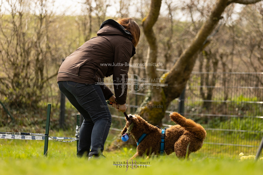 Preview 21-wedog-Longieren_2_JB_02013.jpg