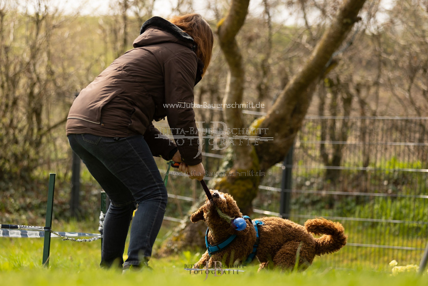 Preview 21-wedog-Longieren_2_JB_02014.jpg