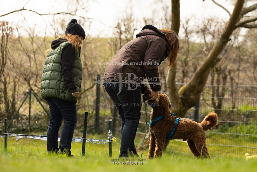 Preview 21-wedog-Longieren_2_JB_02022.jpg