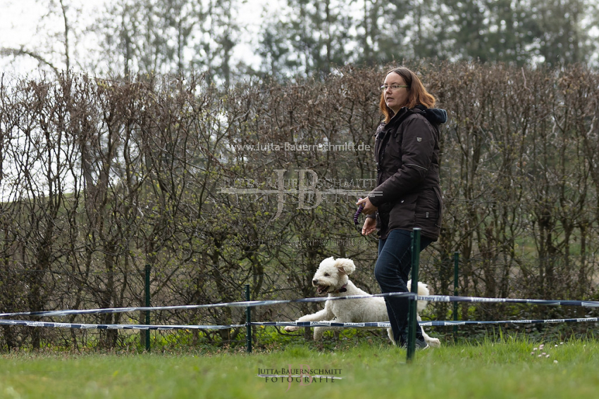 Preview 21-wedog-Longieren_3_JB_02094.jpg