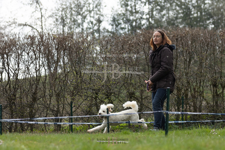 Preview 21-wedog-Longieren_3_JB_02095.jpg