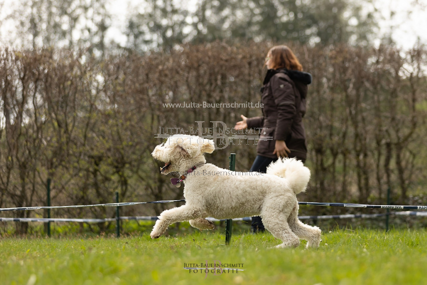 Preview 21-wedog-Longieren_3_JB_02113.jpg