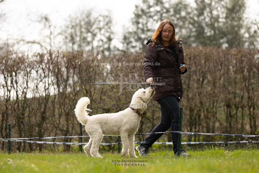 Preview 21-wedog-Longieren_3_JB_02159.jpg