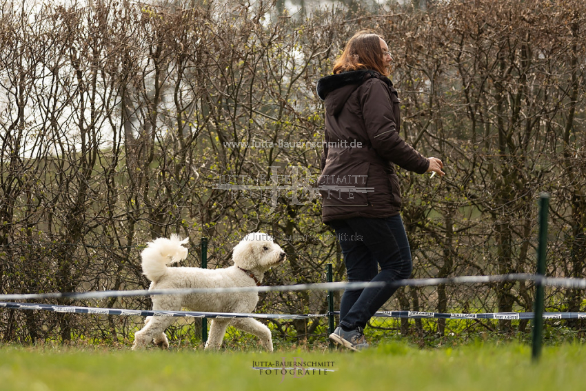 Preview 21-wedog-Longieren_3_JB_02163.jpg