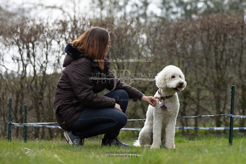 Preview 21-wedog-Longieren_3_JB_02185.jpg