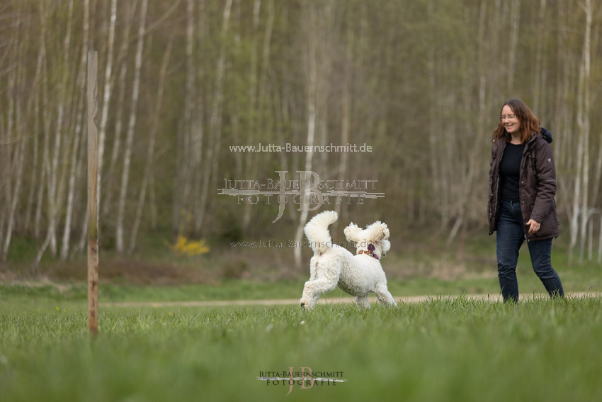 Preview 21-wedog-Umrunden_2_JB_02812.jpg