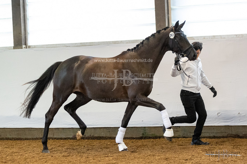 Preview 21-ZStEBW-4-Dornroeschen_JB_26376.jpg