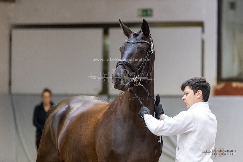 Preview 21-ZStEBW-4-Dornroeschen_JB_26381.jpg