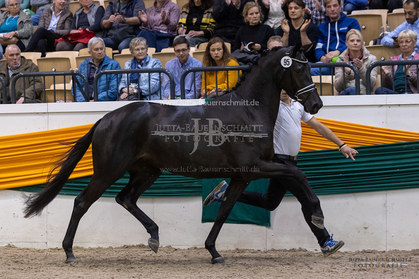 Preview 21-THM-JSS-Donauspiel_JB_39217.jpg