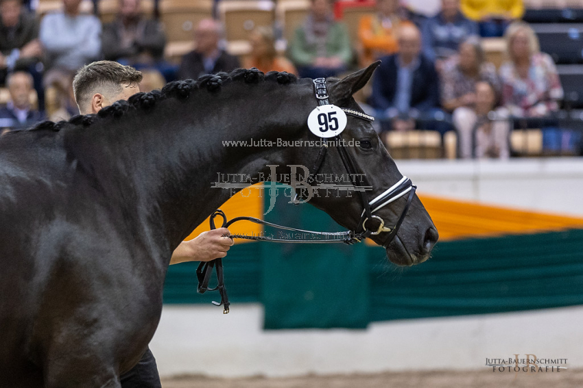 Preview 21-THM-JSS-Donauspiel_JB_39439.jpg