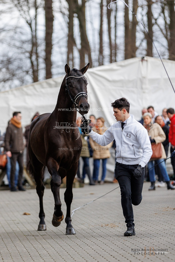 Preview 22-TFK-Theodorakis_JB_57493.jpg