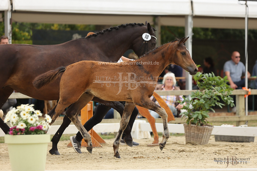 Preview 22-TBT-FS-18-Havertz_JB_80195.jpg