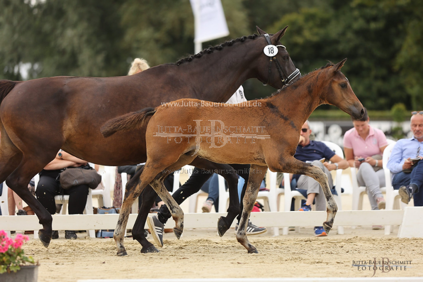 Preview 22-TBT-FS-18-Havertz_JB_80200.jpg