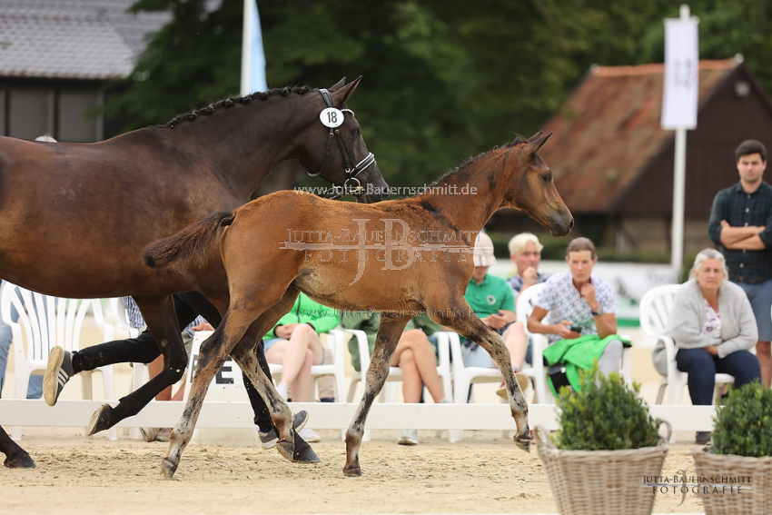 Preview 22-TBT-FS-18-Havertz_JB_80201.jpg